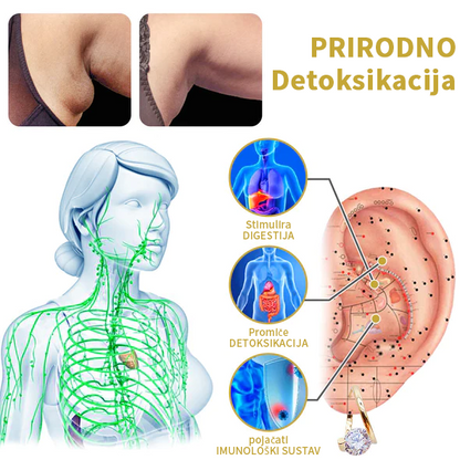 (🔥PRODAJA ZADNJEG DANA - 80% POPUST🔥) CZTICLE™ Lymphvity MagneTherapy Germanijeve naušnice